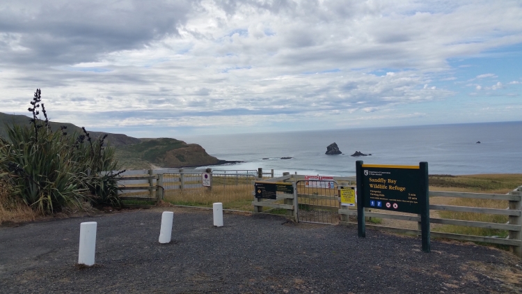 Sandfly Bay Lookout.