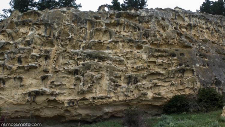 The cliff face where the rock art drawings are at the base of (bottom left)
