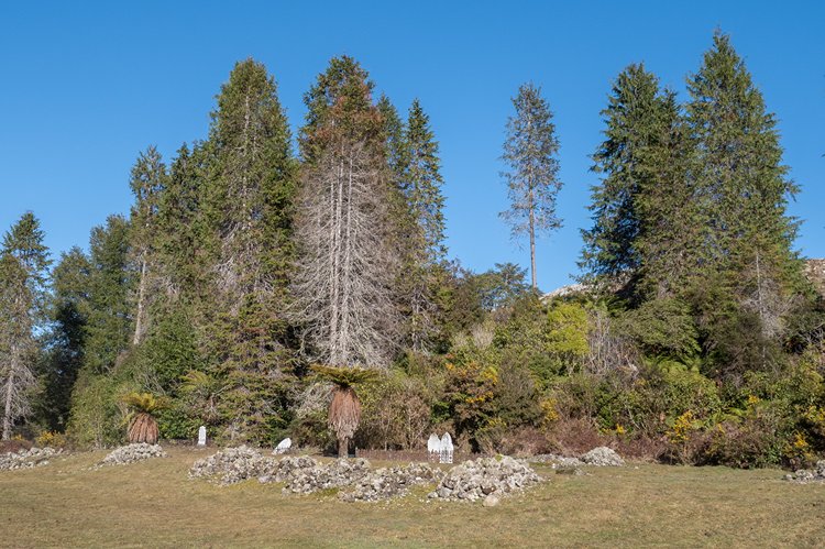 2025 - Notown Cemetery